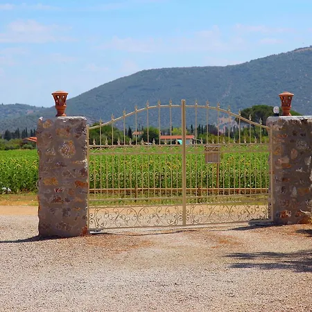 Villa Spacious Holiday In Grosseto With Swimming Pool Bagno Roselle